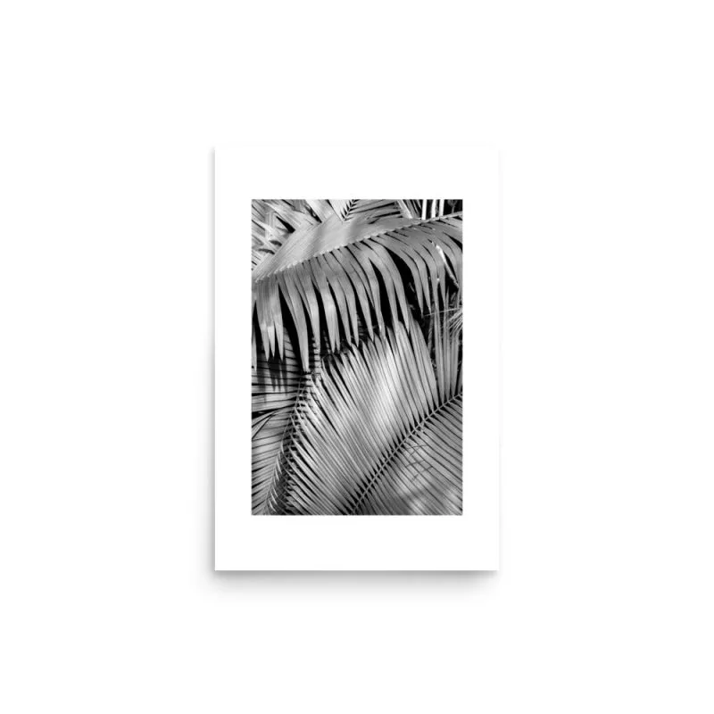 Palm Leaves Print