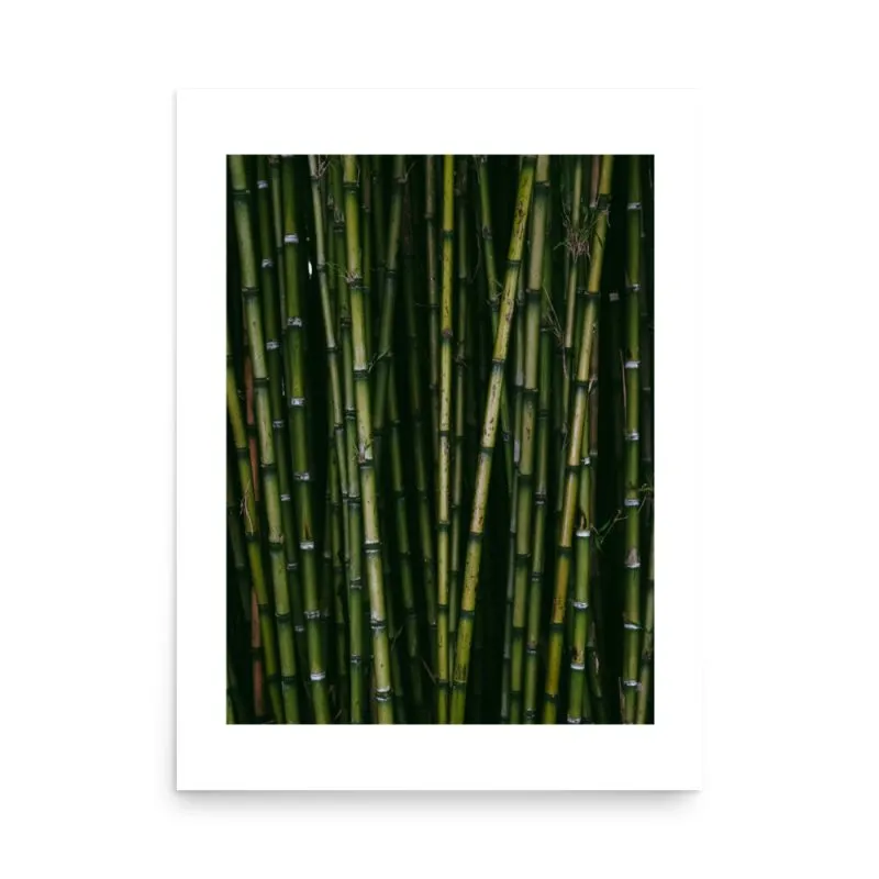 Colourful Bamboo Grove poster